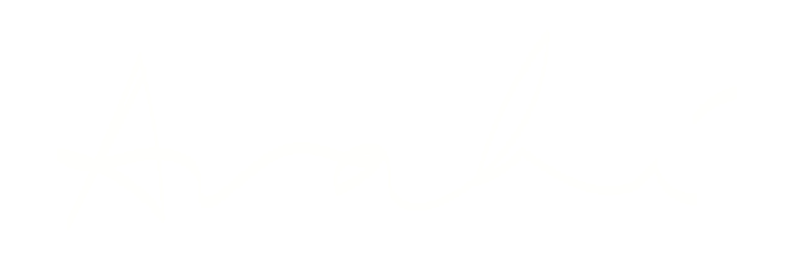 anahifrickelo.com